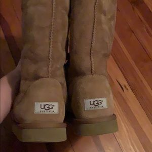 Tall chestnut Ugg’s